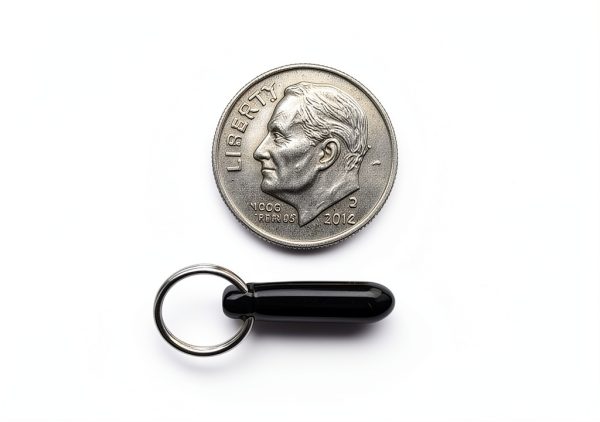 Petsafe Microchip RFID Tag Disc Key Replacement PETQUALITY Black 25mm-4