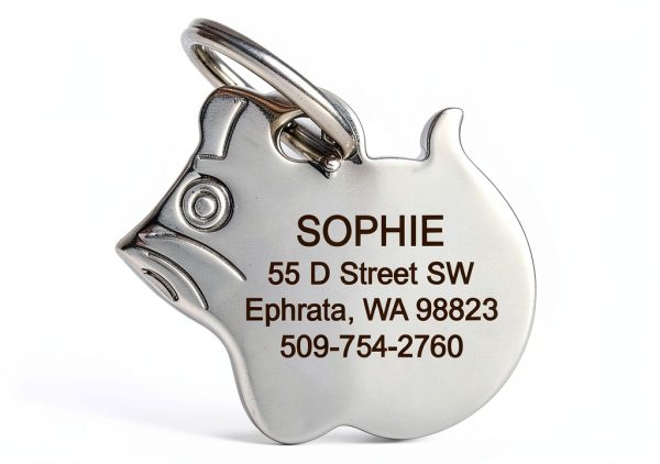 Cat ID Tag GoTags Personalized Stainless Steel Kitty Face Tag 1" x 1"-4