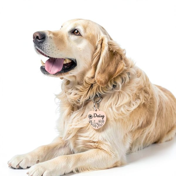 Personalized Dog Tags PET TAGS Stainless Steel Heart ID Tag Large-8