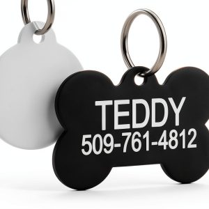 GoTags Personalized Stainless Steel Dog Tags with Front and Back-0