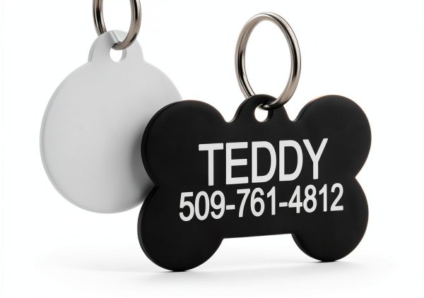 GoTags Personalized Stainless Steel Dog Tags with Front and Back-0
