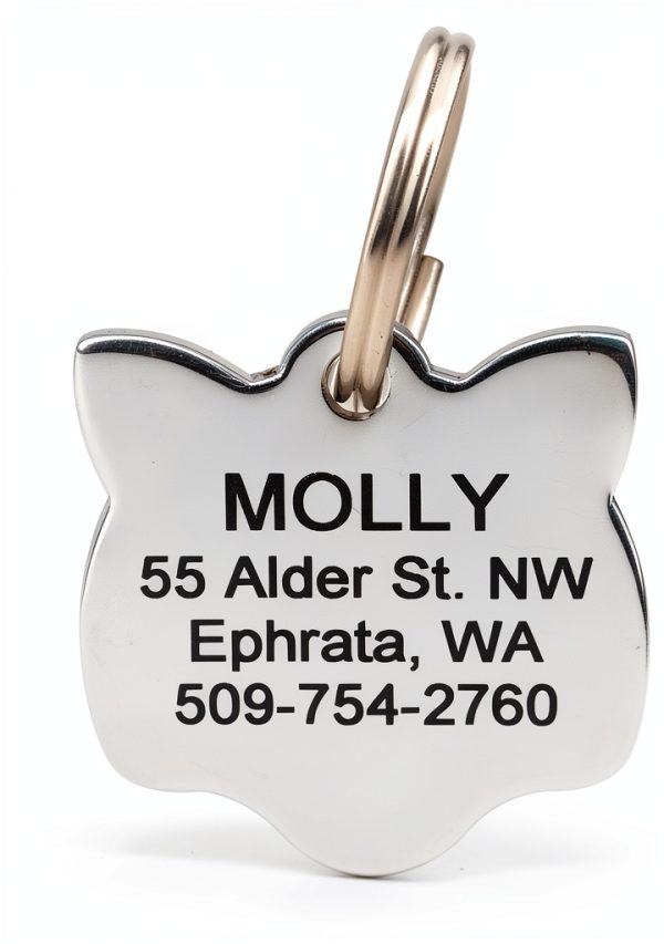 Cat ID Tag GoTags Personalized Stainless Steel Kitty Face Tag 1" x 1"-0