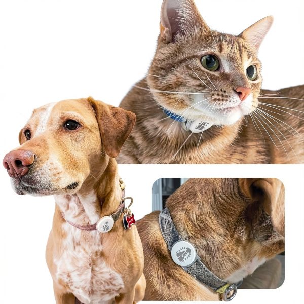 PortionPro Rx RFID White Tag by PawsPik – ID Tag for Pets-3