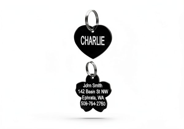 GoTags Personalized Stainless Steel Dog Tags with Front and Back-1