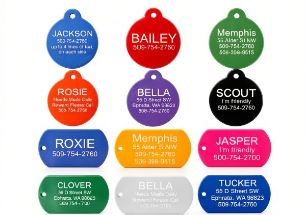 GoTags Personalized Dog and Cat ID Tags, Custom Engraved Bone, Round,-3