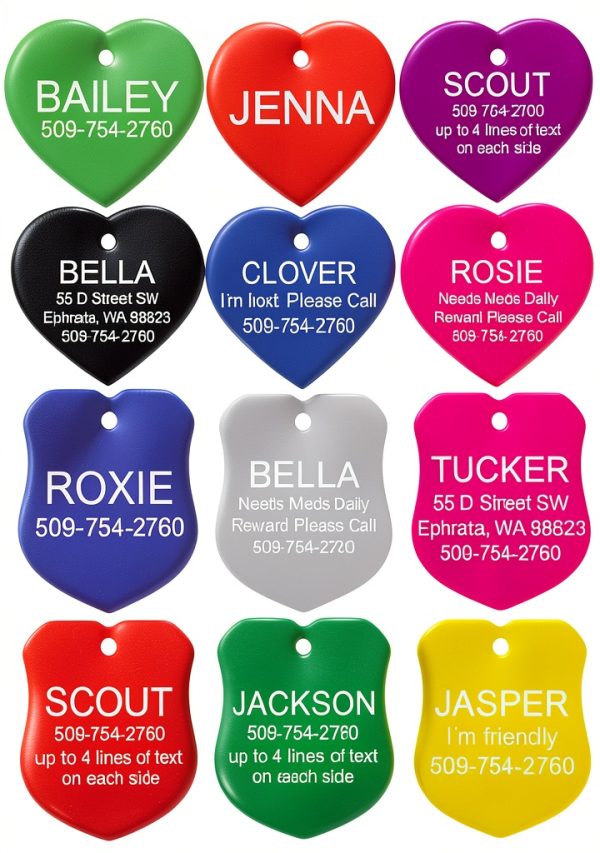 GoTags Personalized Dog and Cat ID Tags, Custom Engraved Bone, Round,-4