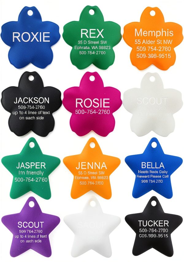GoTags Personalized Dog and Cat ID Tags, Custom Engraved Bone, Round,-5